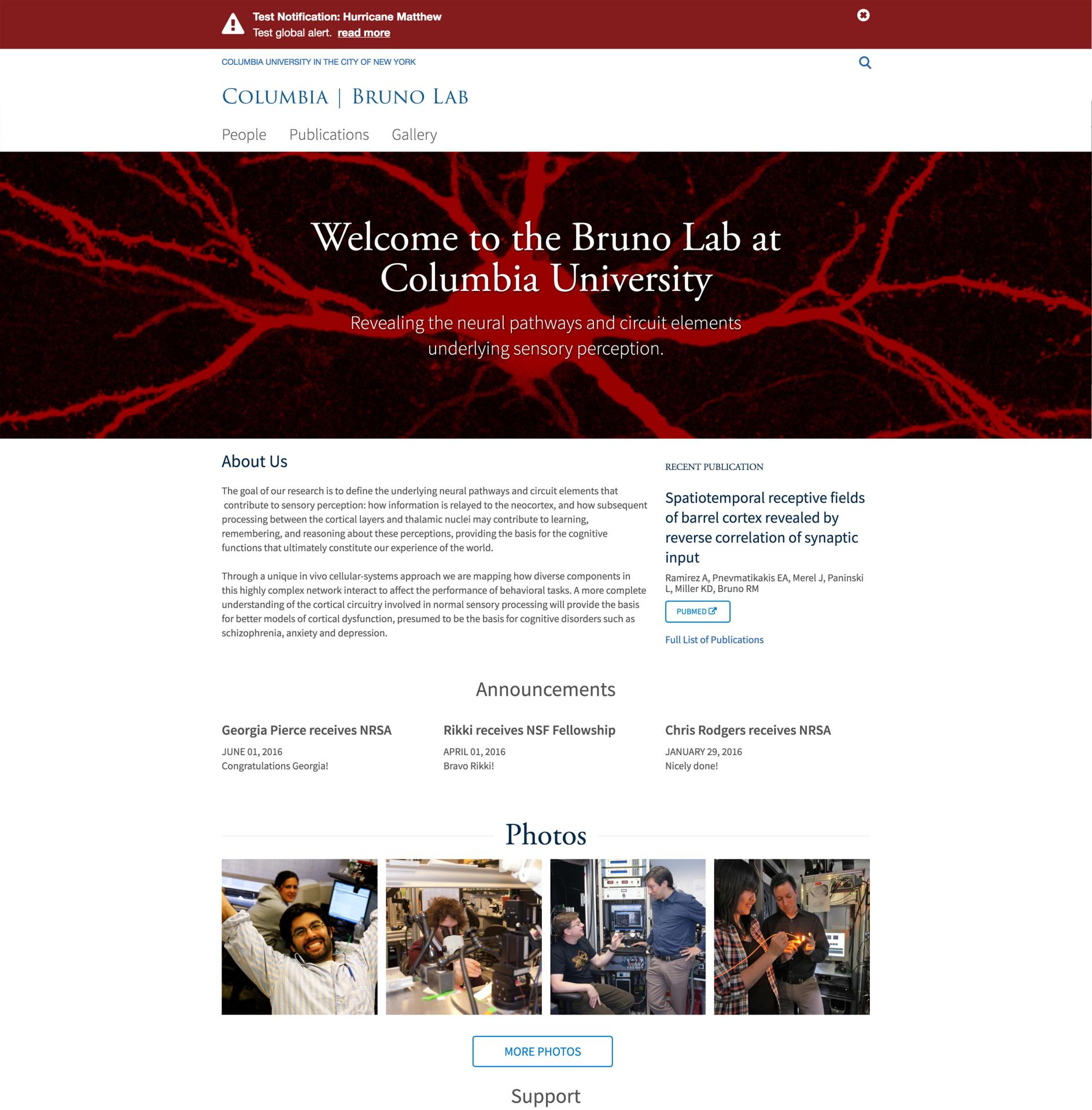 Bruno Lab Site Screenshot