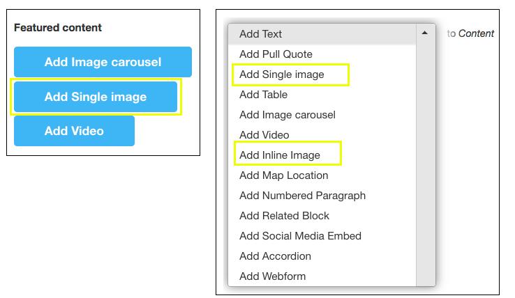 types of images to select