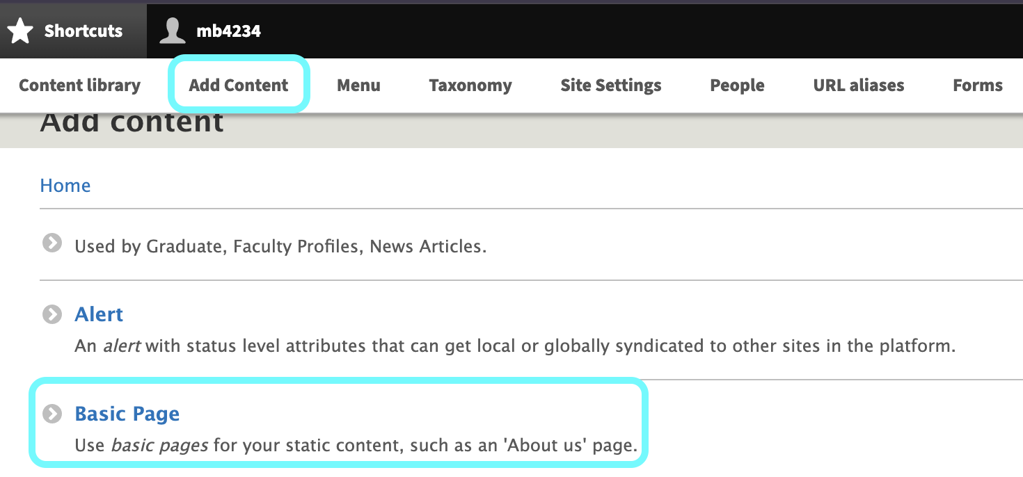 Text highlighting basic page and add content.